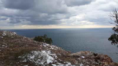 Прикрепленное изображение: 20190116_163134.jpg